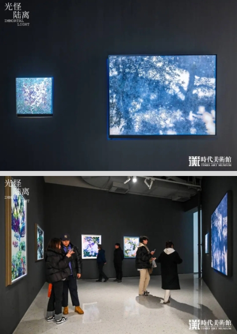 微信截图_20241120100427.jpg