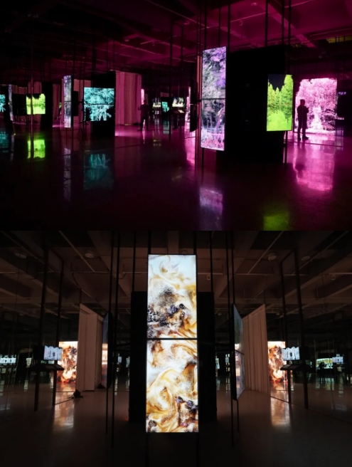 微信截图_20241120102114.jpg